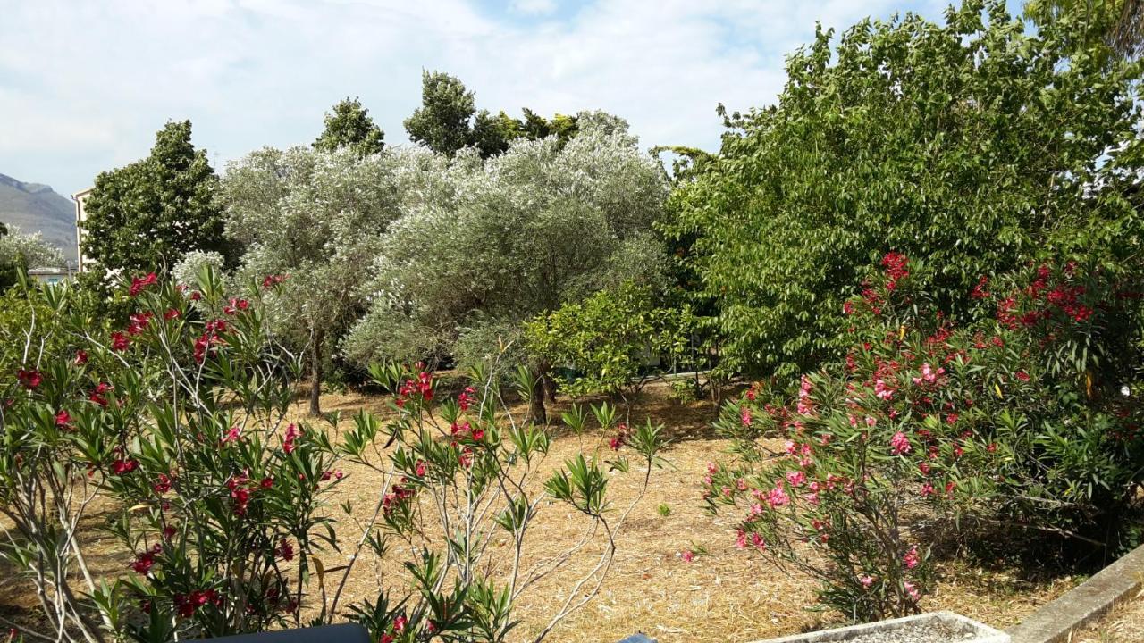 La Marina Gardens Beach Scauri (Lazio) Exterior foto