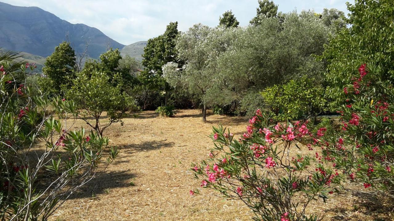 La Marina Gardens Beach Scauri (Lazio) Exterior foto