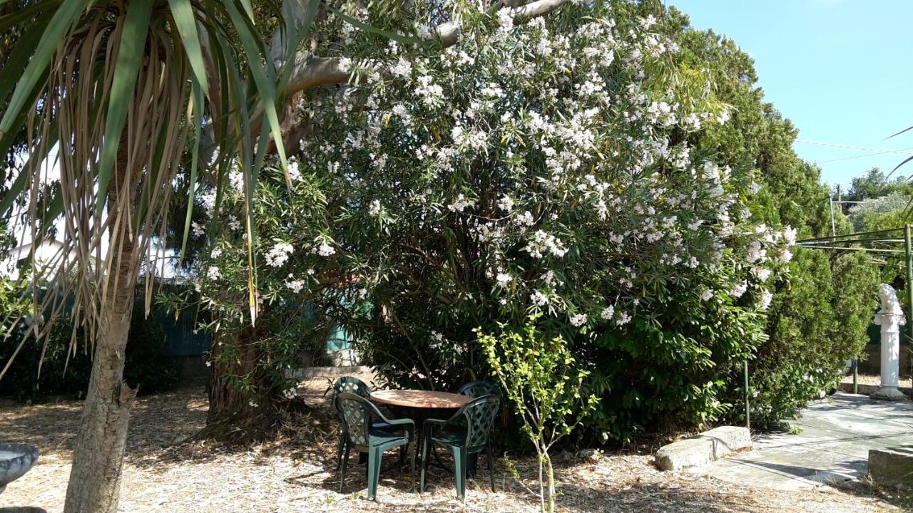 La Marina Gardens Beach Scauri (Lazio) Exterior foto