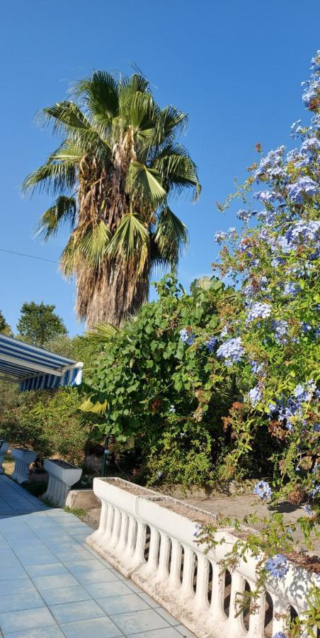 La Marina Gardens Beach Scauri (Lazio) Exterior foto
